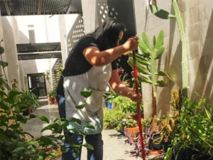 Ministry of Labour revises expat work permit system to cut costs, simplify procedures